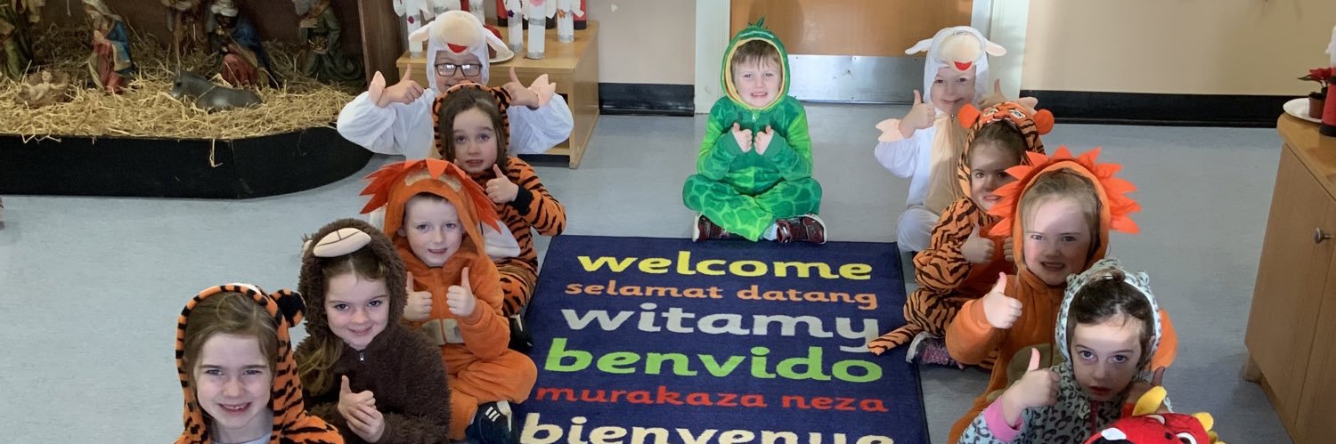 St Patrick's PS Donaghmore banner