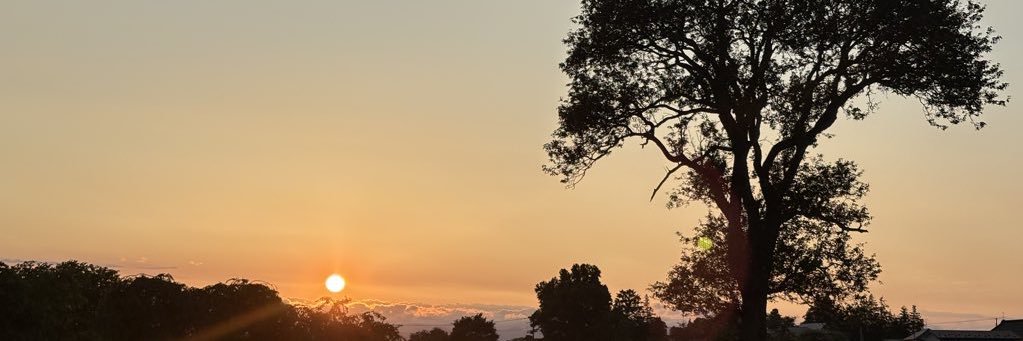 いりす banner