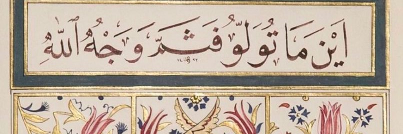 الفتاة التي لا تهادن الشر.'s banner