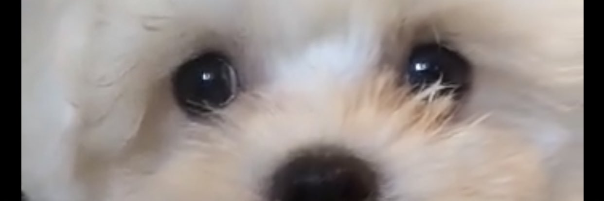 garoufo8's profile banner image