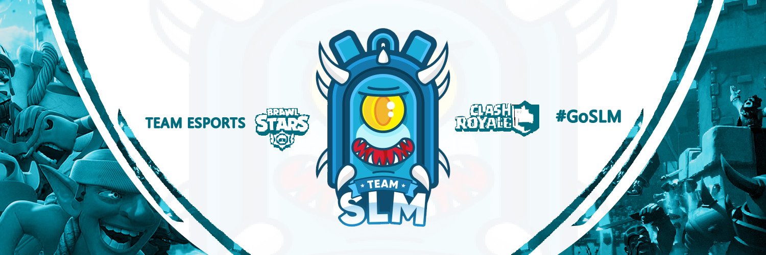 Team SLM banner