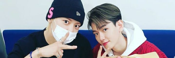 BaekLight🐶🍓 banner