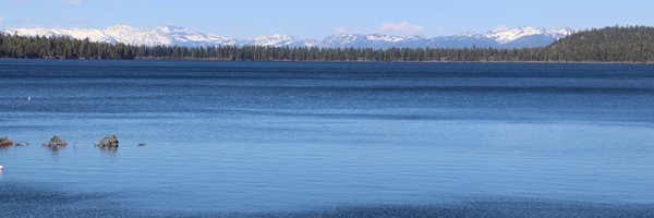 BrunetLab Profile Banner