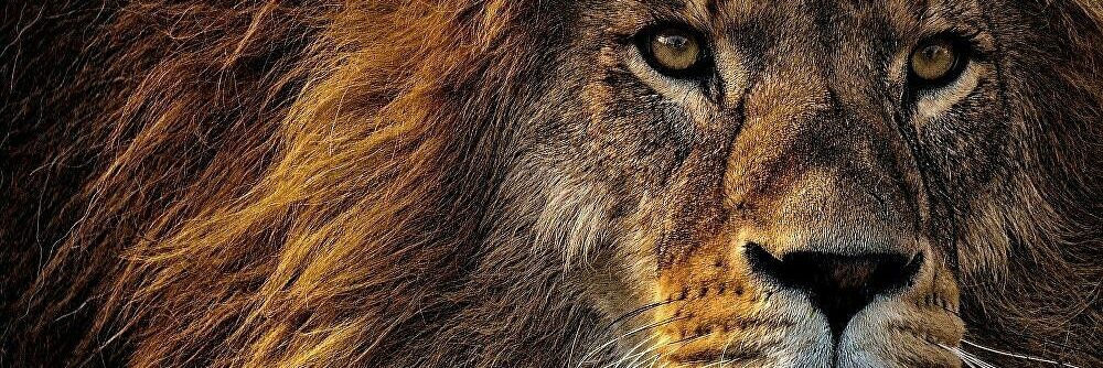 jamaraagal's profile banner image