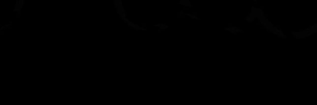 leon banner