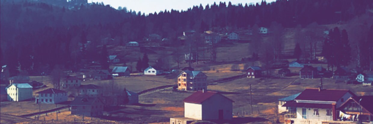 Reham Hussain  ✽ banner