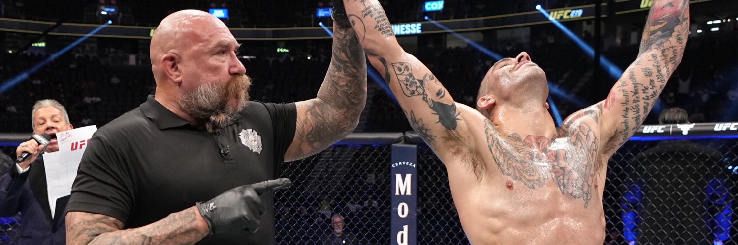 Yohan White Lion lainesse banner