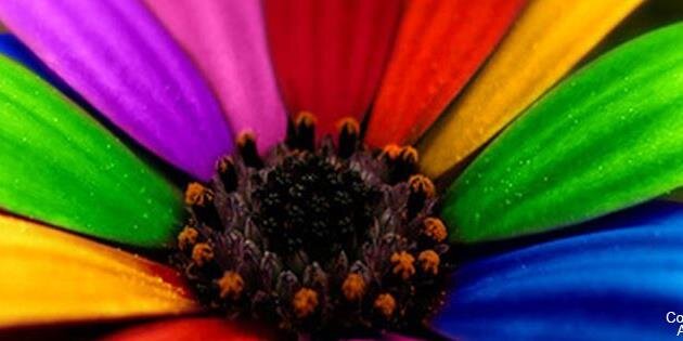 ASDFamilyHelp banner