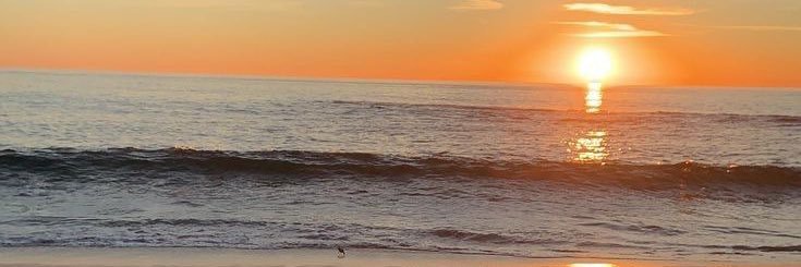 phingtizen's profile banner image