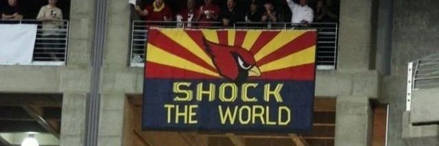 Cardinals Argentina banner