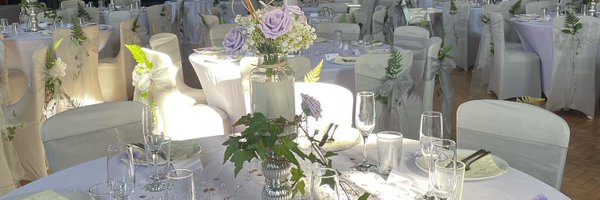 StageLeftDevon Profile Banner