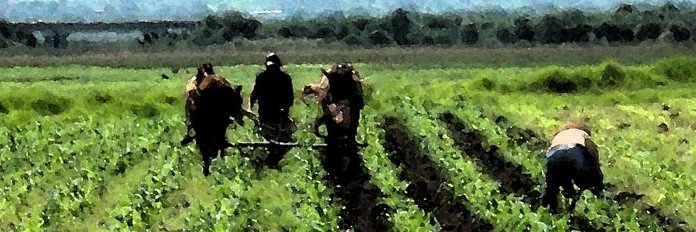 Jesus Loza 🇲🇽 banner
