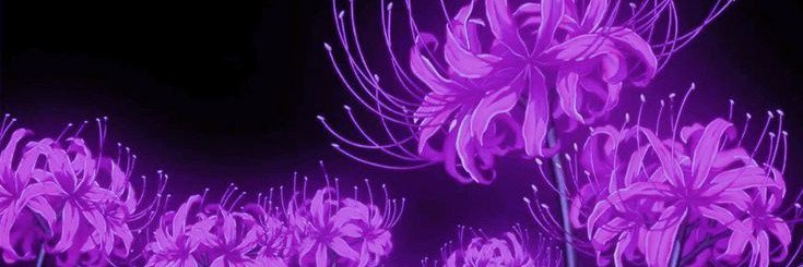 x_craxker's profile banner image