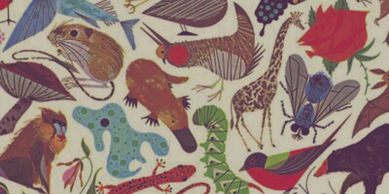 FaulBiology's profile banner image