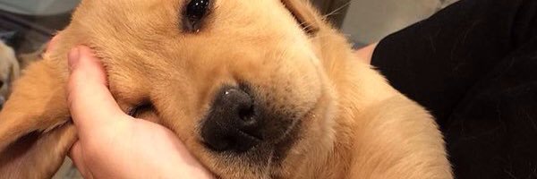 loirits's profile banner image