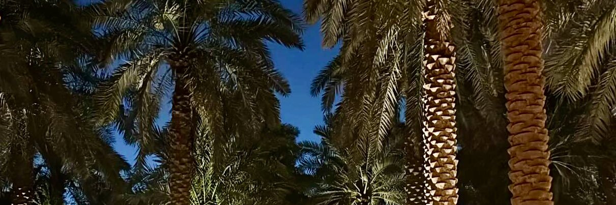 تركي banner