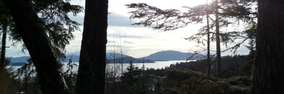 CarysaJorgensen's profile banner image