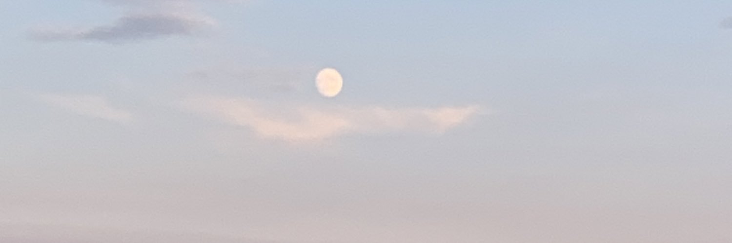 Holly Mars's banner