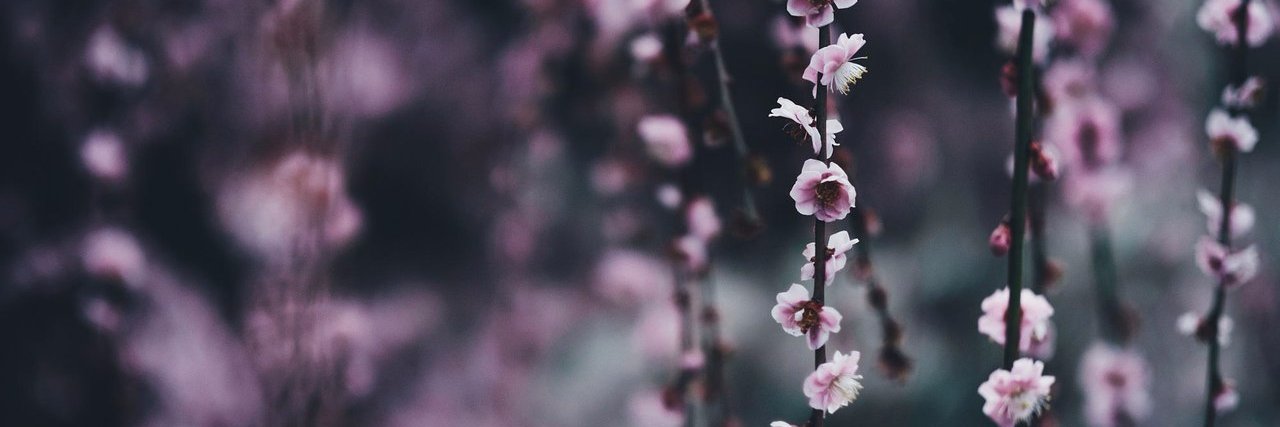 fronki_'s profile banner image