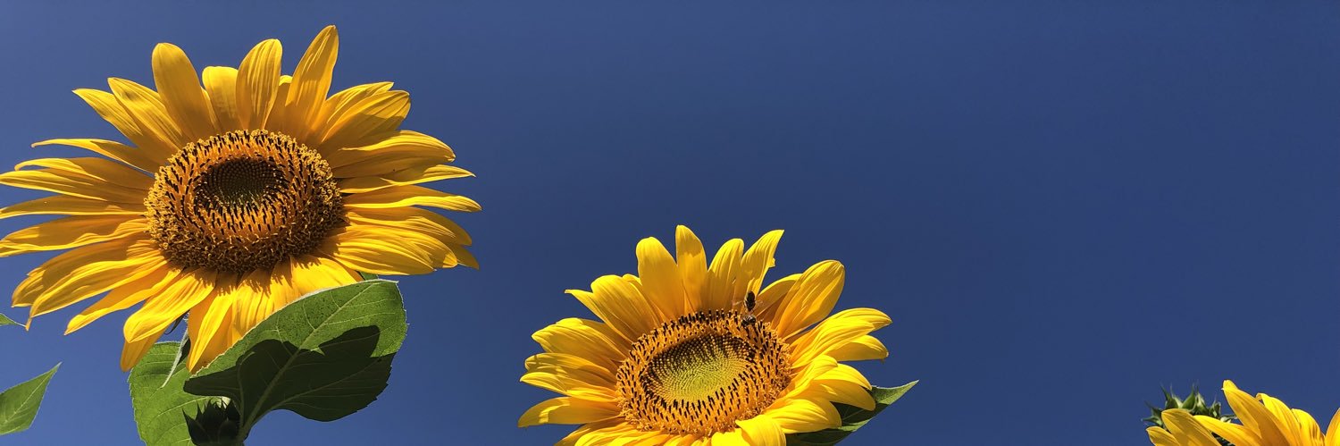 IdeenundGedanken🔭 banner