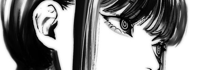 ana banner