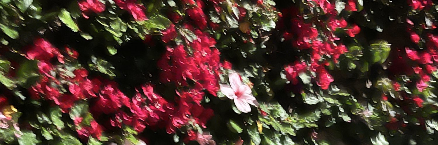 aryo banner