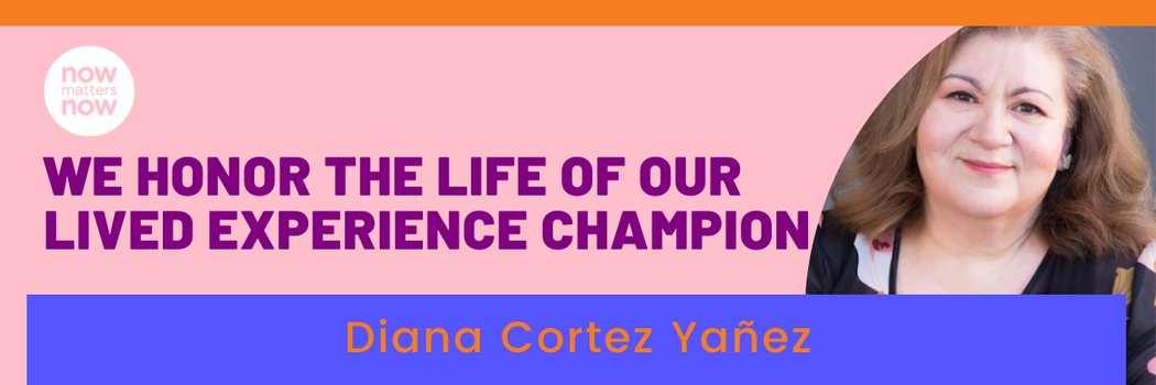 NowMattersNow.org (501c3 Nonprofit) banner