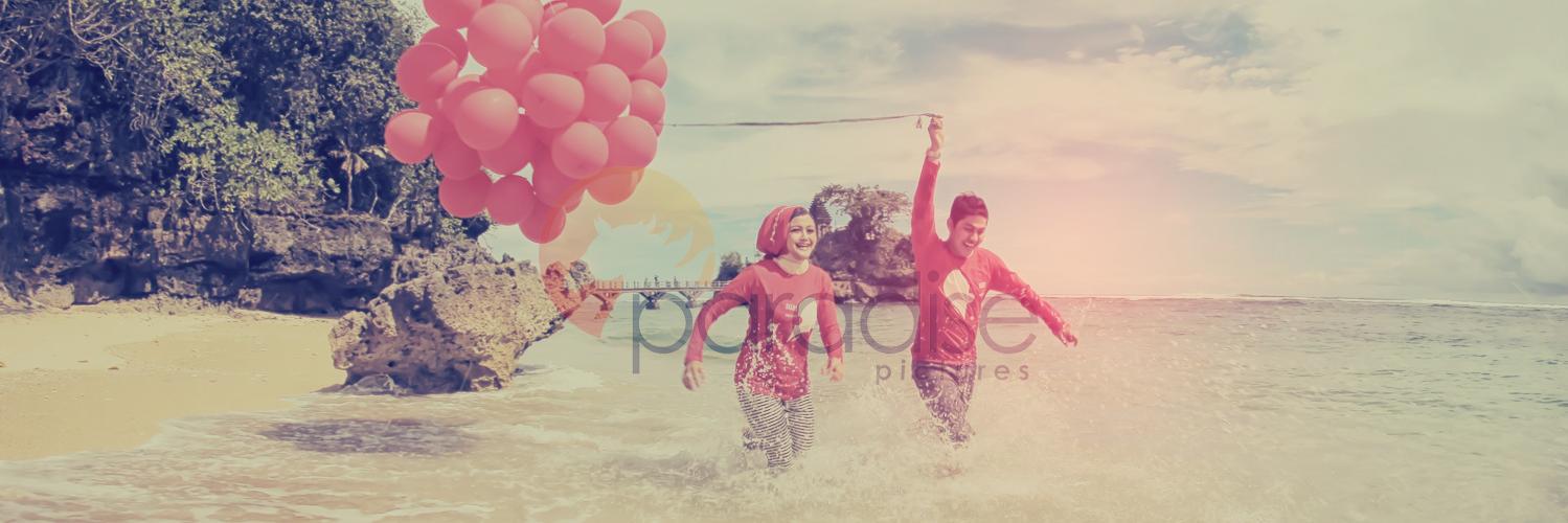 Paradise Pictures banner