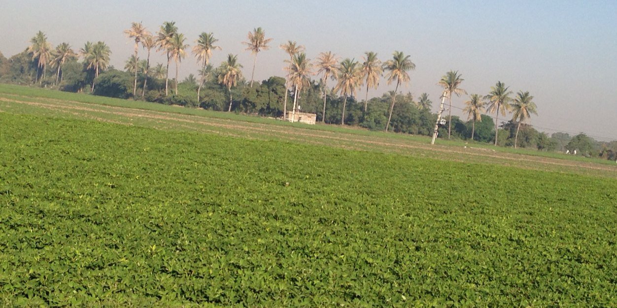 virupakshareddy's profile banner image