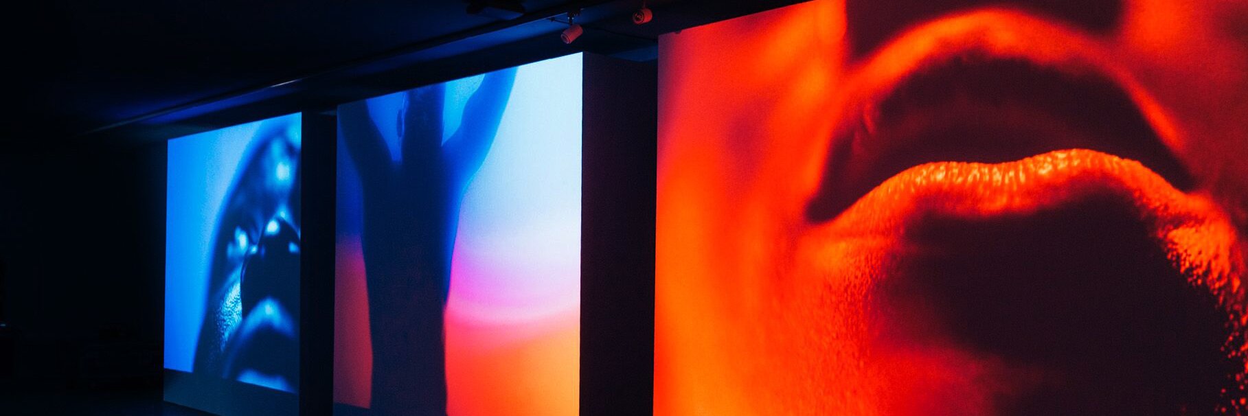 Black Dog Films banner