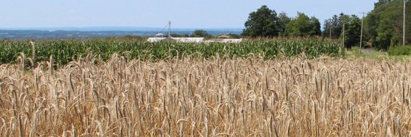 AgSystemScience Profile Banner