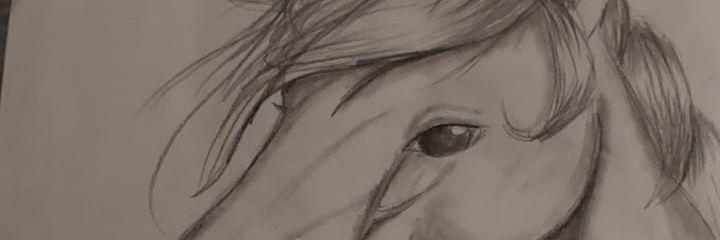 Abel banner