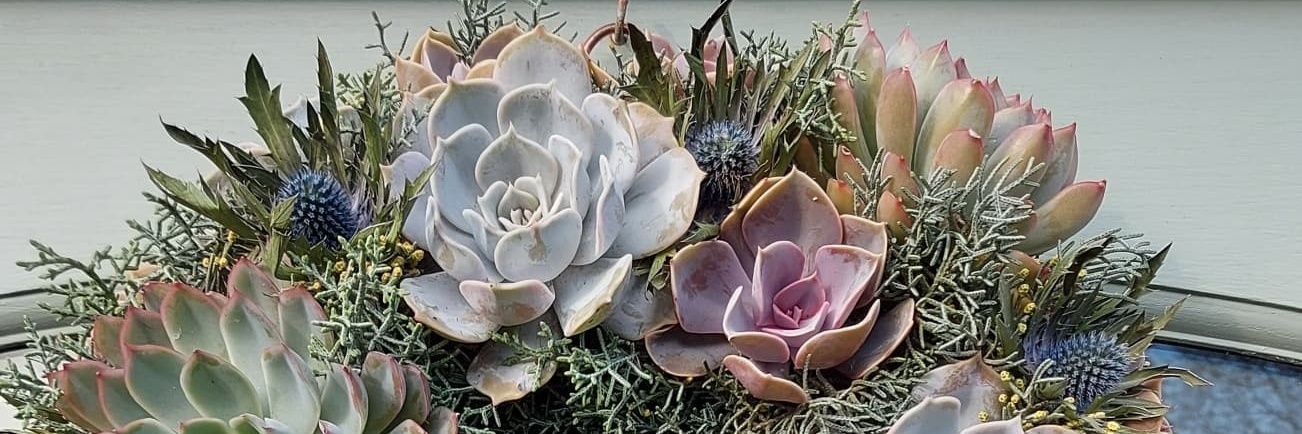 Sarah Jacques banner