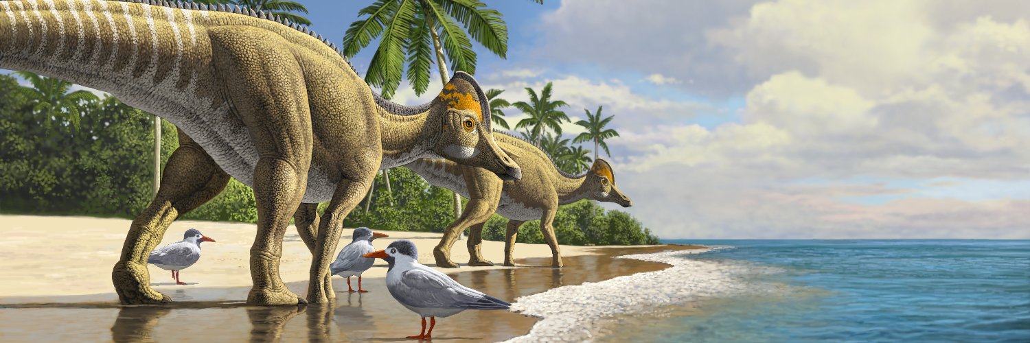 Nick Longrich banner