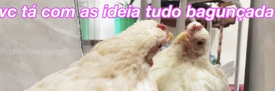 mc_otariaa's profile banner image