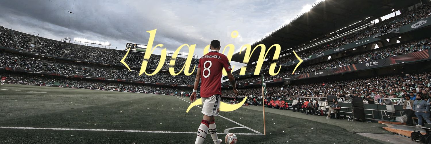 BasiM banner