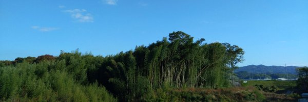 Zanadu20 Profile Banner