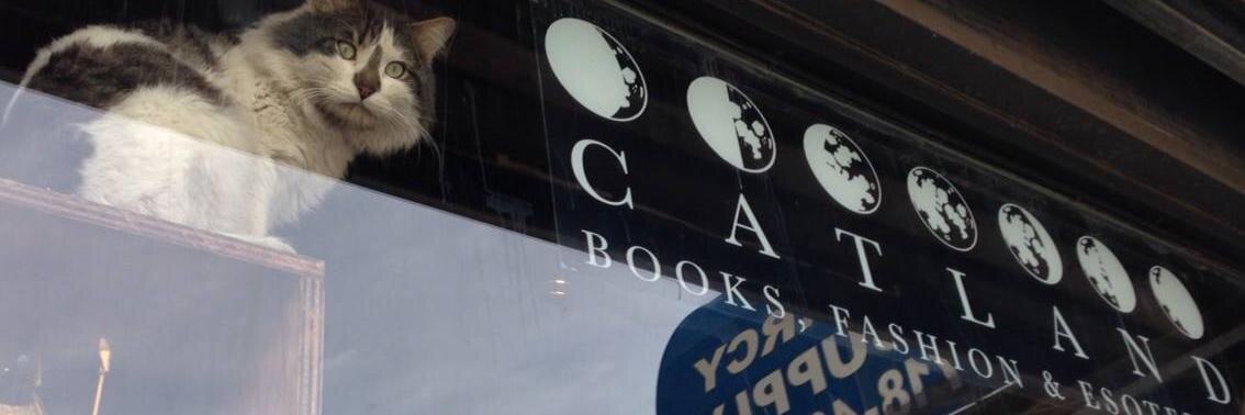 CatlandBooks's profile banner image