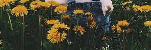 ebtehalfm8's profile banner image