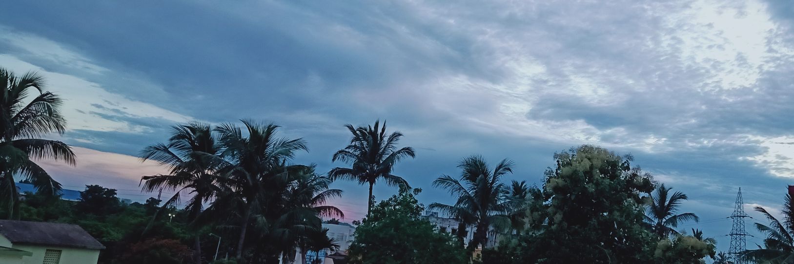 Lakshmipriya Sahoo banner