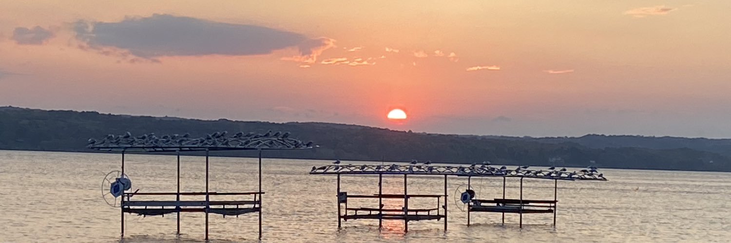 Jordan Javier banner