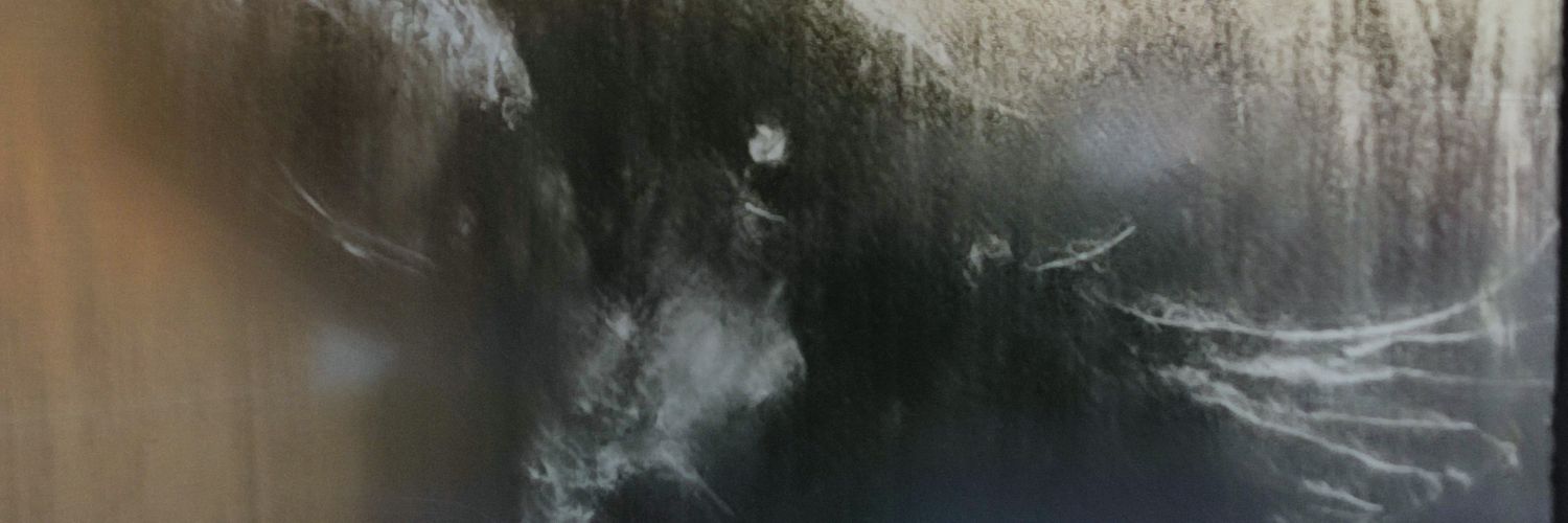 Luciferloo's profile banner image
