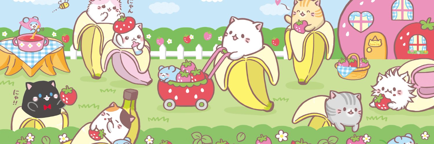 marco / coco banner