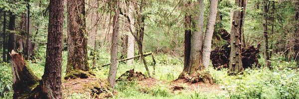 TimMJoslin Profile Banner