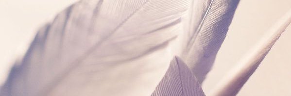 EmilyAzGe's profile banner image