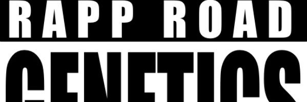 RappRoadWeetz's profile banner image