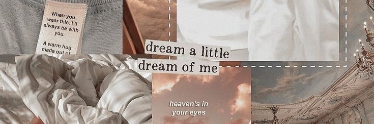 ꒰ pıt ^ banner