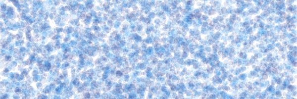 angichau Profile Banner