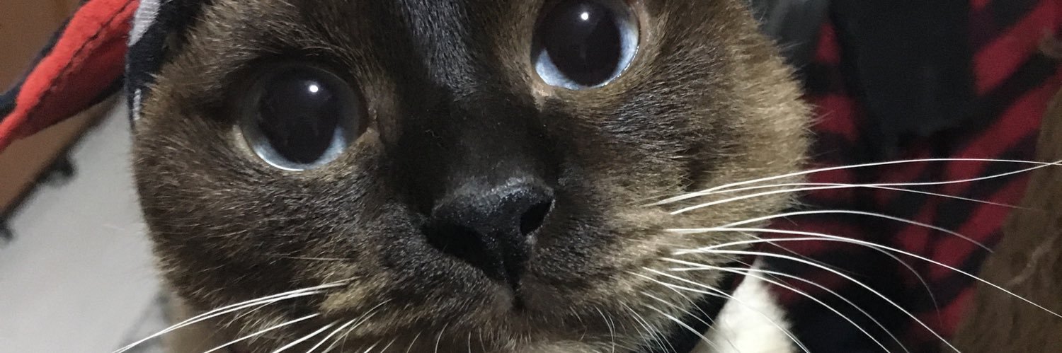 geyebex's profile banner image