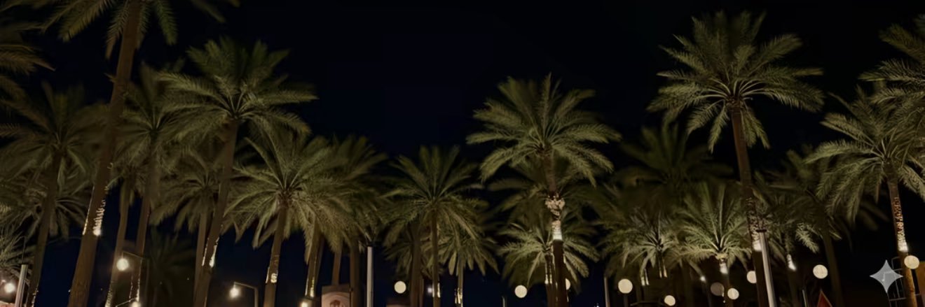 3liilr's profile banner image